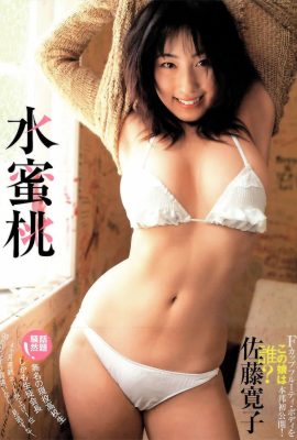 佐藤寛子寫真集 「水蜜桃」 (西條彰仁) (297P)