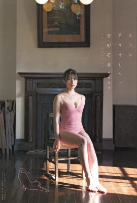 [安部若菜] 日本偶像胸前開開美乳露出 (12P)