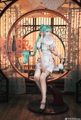 初音未來 韶華·初音ミク @皖鴿鴿wgg (9P)