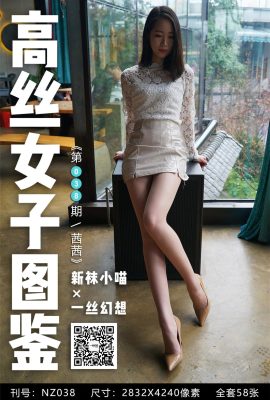 [高絲女子系列]一絲幻想 NZ038 茜茜 高跟絲腿[60P]