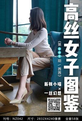 [高絲女子系列]一絲幻想NZ042 茜茜 高跟絲腿[59P]