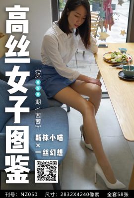 [高絲女子系列]一絲幻想NZ050 茜茜 高跟絲腿[59P]