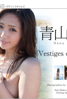 青山華(Graphis)《Vestiges of summer》(2016-08-26) (134P)