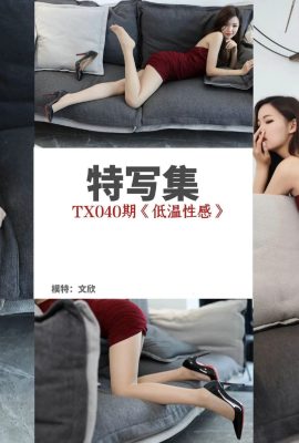 [絲慕寫真系列]TX040 文欣《低溫性感》[54P]