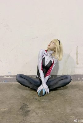 糕糕獸—spider-gwen