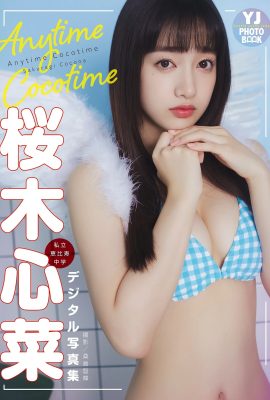 [桜木心菜] 櫻花妹養眼身材惹火度爆表 讓人招架不住 (22P)