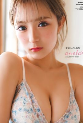 [SEINA 聖菜] 比基尼雪乳大解放…日網友推爆她 (29P)